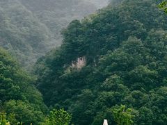 -牛背梁国家森林公园