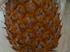 -红星农博物流中心