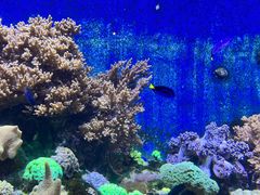 -珠海长隆海洋王国