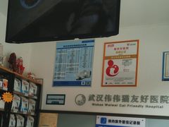 -伟伟宠物医院·瑞派猫友好医院·猫科(光谷店)