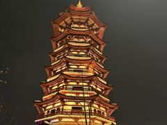 -洋湖国家湿地公园