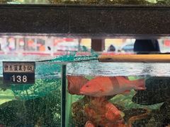 -四海之家(蛇口店)