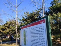 -玲珑塔公园