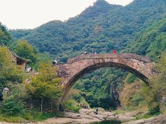 -上海佘山国家森林公园天马山园