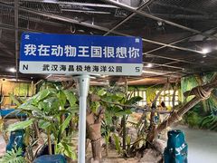 -海合安武汉极地海洋公园