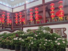 -神州牡丹园