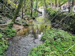 -灵隐飞来峰景区