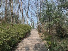 -南京老山国家森林公园