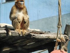 -大连森林动物园