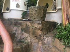 -100蛋泥浆浴