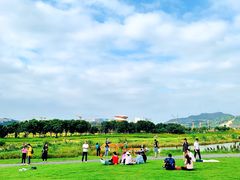 -光明小镇欢乐田园