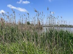 -盐城丹顶鹤湿地生态旅游区