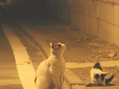 -四禧精酿铜锅涮肉·烧烤工场(大明湖店)