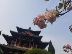 -西安青龙寺遗址景区