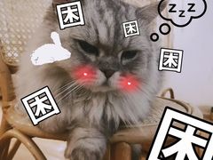 -猫友咖啡店(玉林西路店)