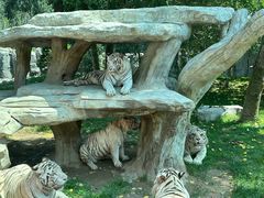 -北京野生动物园