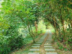 -东莞市大岭山森林公园