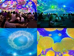 -海合安天津极地海洋公园