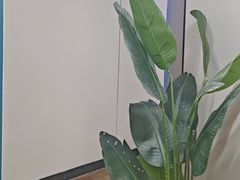 -集结号CLUB别墅聚会轰趴馆