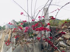 景点-龙泉岩寺庙群