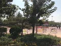 -武清南湖绿博园