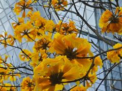 -龙湖重庆时代天街