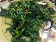 上汤浸桑叶-成惠食府(赤岗店)