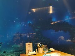-海棠湾洲际-涛·海底餐厅·美人鱼·自助餐·海底隧道
