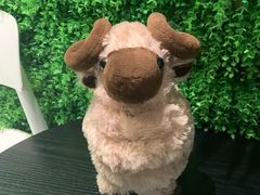 -九府羊·鲜羊火锅·烤串(新华路店)