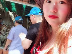 -是拉差龙虎园(Permanently closed)