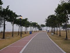 -野狸岛