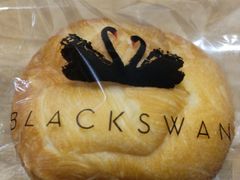 -BLACKSWAN黑天鹅(环球店)