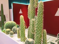 -悦海·家宴·冰花皮皮虾大锅贴(宝龙店)