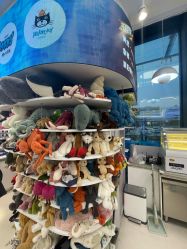 -jELLYCAT(华熙店)