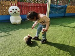 -萌宠亲子动物乐园(槐房万达店)