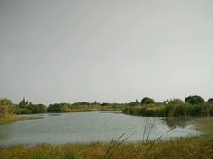 -梁鸿国家湿地公园