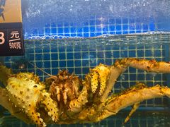 -金龙·打边炉(南京西路店)