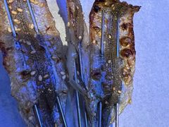 -杨记玉喜龙虾肥蛤(文东店)