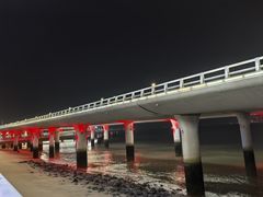 -演武大桥观景平台