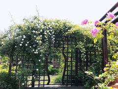 -鹅湖玫瑰文化园
