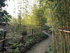 -田园东方蜜桃村的田野营地