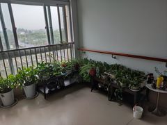 -奉贤东方美谷金汇敬老院·医护康复·日月星连锁(奉贤院)