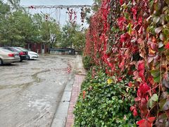 -水库活鱼馆(于桥水库店)