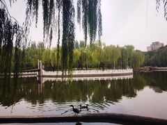 -丰台花园