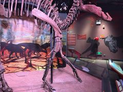 -正佳自然科学博物馆