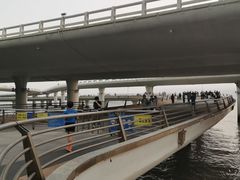-演武大桥观景平台