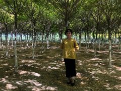 -西青郊野公园