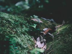 -赤水丹霞旅游区·佛光岩