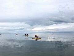 -青海特色美食小炒炕锅牦牛肉火锅