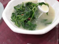 上汤桑叶-姚林轩